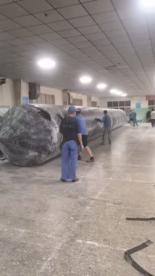 1m 30m μήκος υψηλής αντοχής θαλάσσιος ελαστικός αερόσακος για τη ναυτιλιακή βιομηχανία και τις λύσεις διάσωσης πλοίων